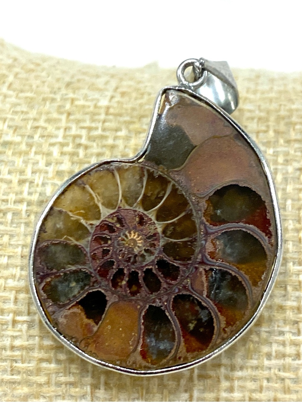 Ammonite Shell Pendant in Brown and Gold